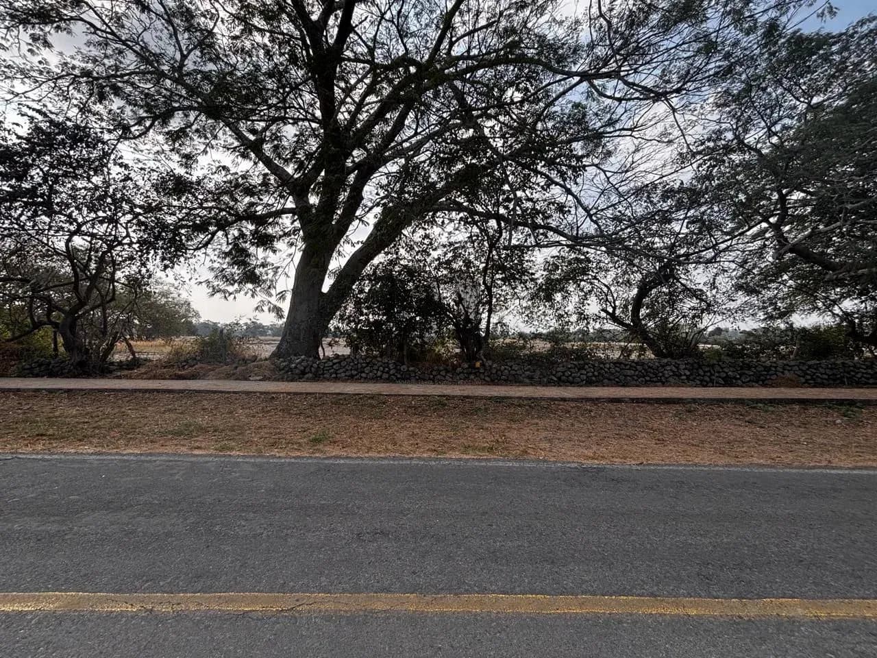 Terreno comercial en preventa en Hacienda El Trapiche, Cuauhtémoc, Colima — foto 4 de 8