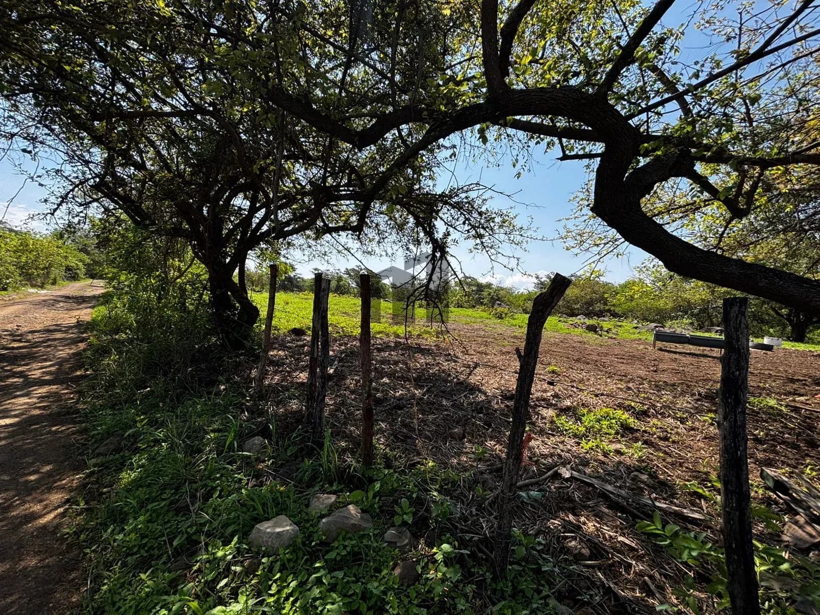Hectáreas en venta en San Joaquín, Cuauhtémoc, Colima — foto 2 de 25