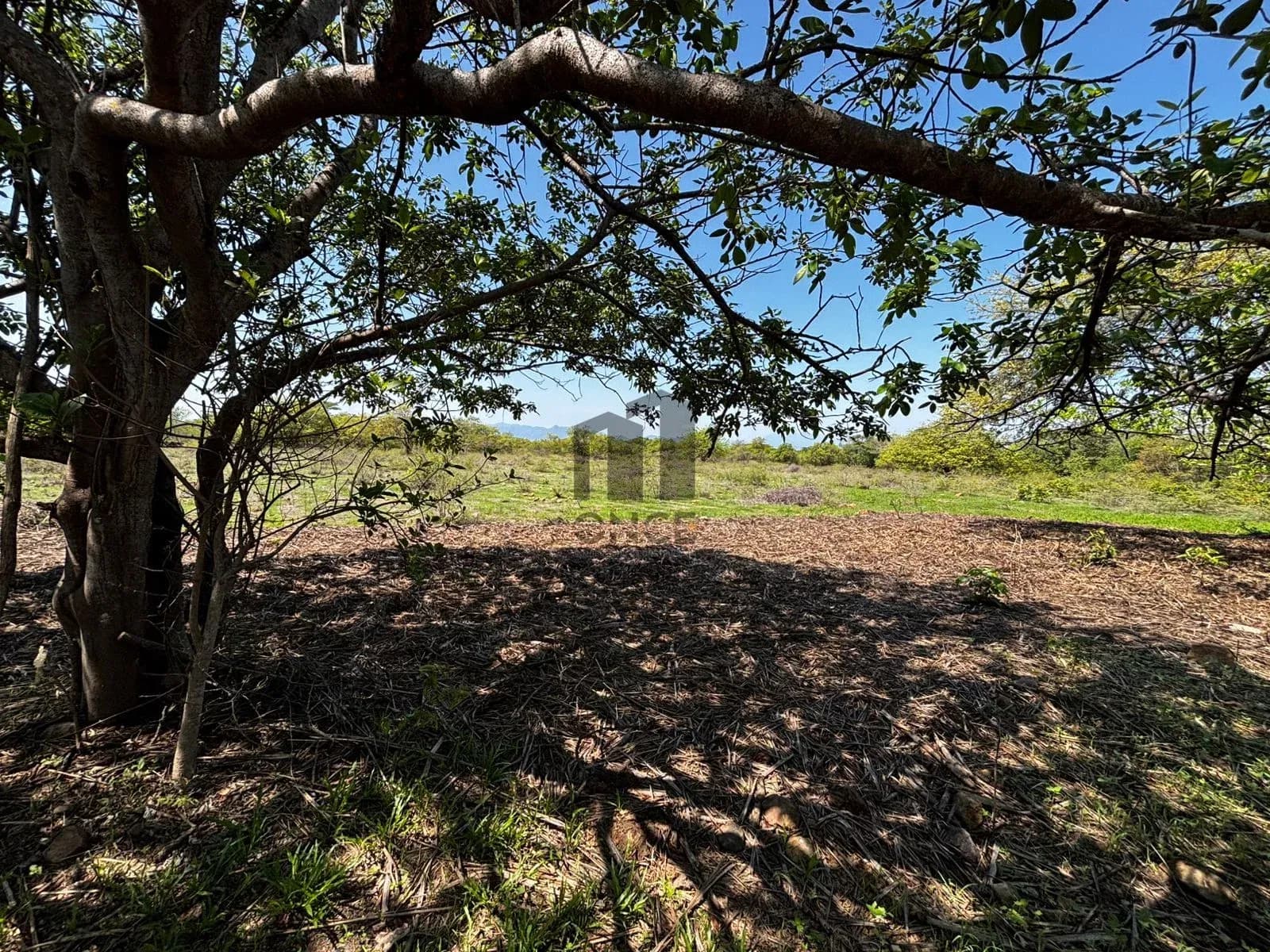Hectáreas en venta en San Joaquín, Cuauhtémoc, Colima — foto 18 de 25