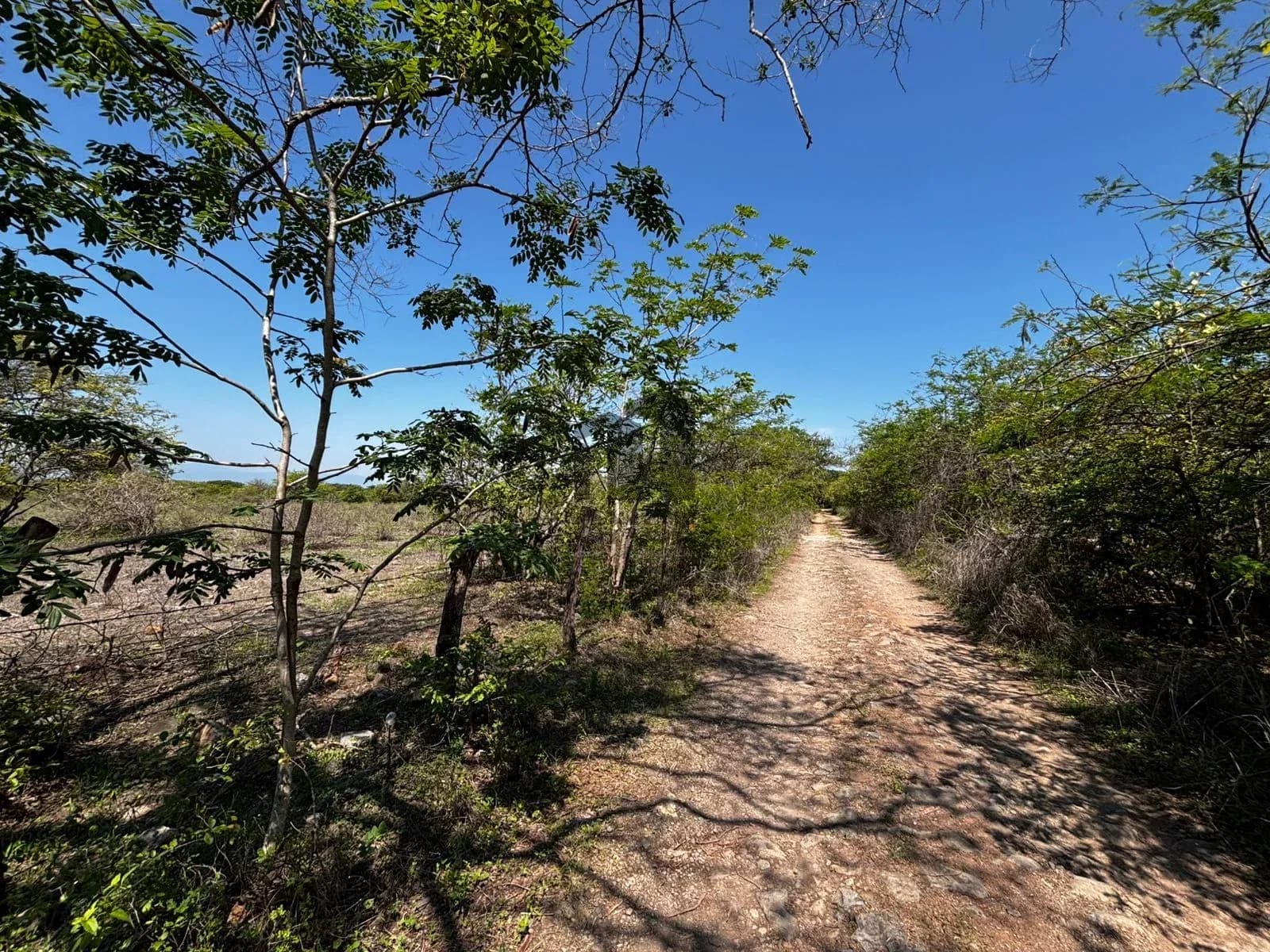 Hectáreas en venta en San Joaquín, Cuauhtémoc, Colima — foto 21 de 25