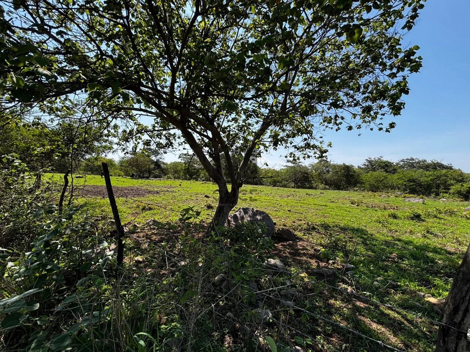 Hectáreas en venta en San Joaquín, Cuauhtémoc, Colima — foto 23 de 25
