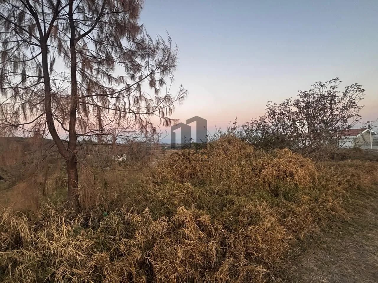 Terreno en venta en Comala, Colima — foto 6 de 8